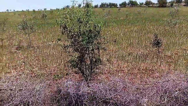 Ait bou Ali tidili massfioua Marrakech Maroc