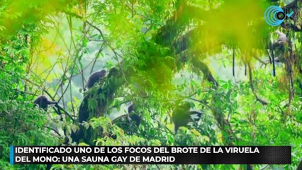 Identificado uno de los focos del brote de la viruela del mono: una sauna gay de Madrid