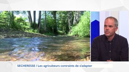 SECHERESSE / Les agriculteurs contraints de s'adapter