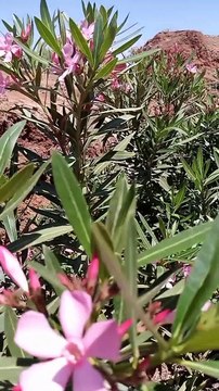 Ait bou Ali tidili massfioua Marrakech Maroc