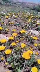 Ait bou Ali tidili massfioua Marrakech Maroc