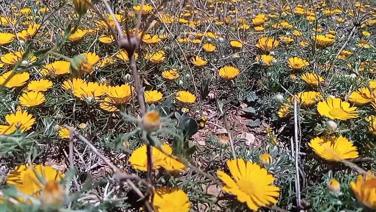 Ait bou Ali tidili massfioua Marrakech Maroc