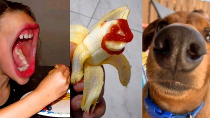 Funny TikToks that made Me Lose my Last 2 Brain Cells