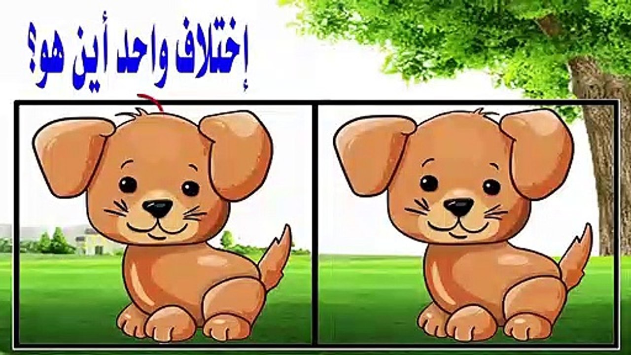 find difference in pictures5