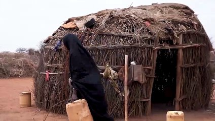 Crisis alimentaria por la guerra de Ucrania