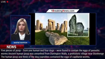 Ancient poop reveals what the builders of Stonehenge liked to eat - 1BREAKINGNEWS.COM