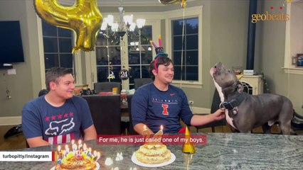Woman brings home a dog. Then discovers his strange reaction to birthday song.
