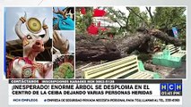 ¡Tras caída de árbol! Enigmática Carroza causa polémica a horas del Gran Carnaval de La Ceiba