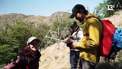En busca de los Huemules en el Parque Nacional Patagonia _ Sueños de Patagonia