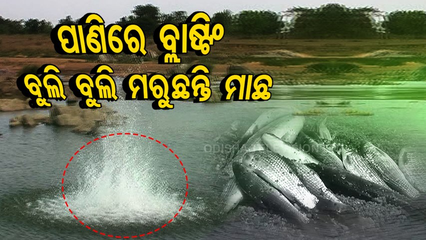 Blast fishing method by using explosive chemicals adopted by miscreants in Binika