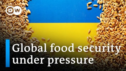 Ukraine war putting pressure on global grain supply