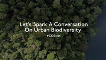 Imagine A World Without Biodiversity