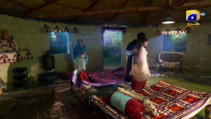Dil Awaiz - Episode 17 - Kinza Hashmi - Affan Waheed [Eng Sub] 20th May 2022 - HAR PAL GEO