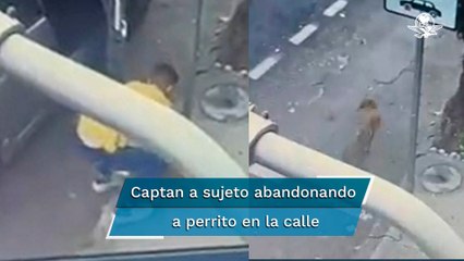 ¡Dueños irresponsables! Abandonan a lomito, lo bajan del auto y se dan a la fuga