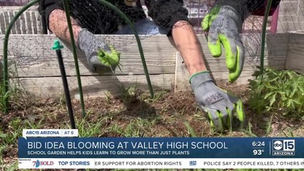 Helping Kids Go Places: Cesar Chavez High School mindfulness garden