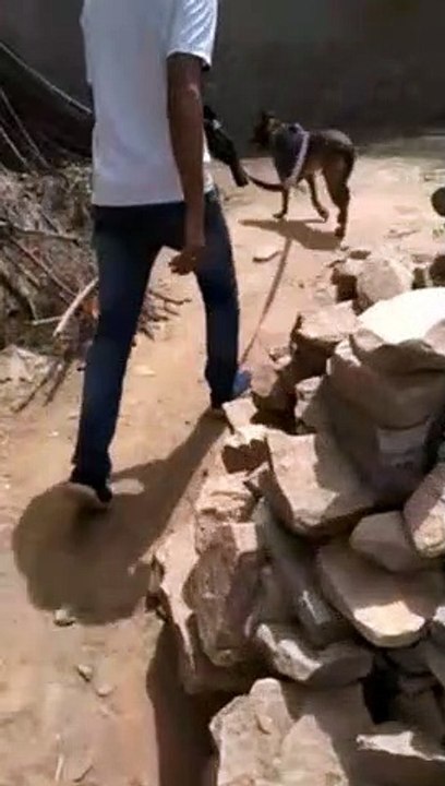 महिला की गला रेतकर हत्या, गले से गहने गायब, अलम...