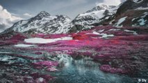 Swiss Alps in pink and red