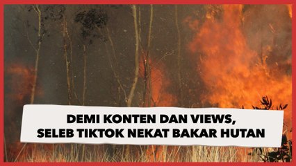 Download Video: Demi Konten Estetik dan Views, Seleb TikTok Pakistan Nekat Bakar Hutan, Banjir Hujatan