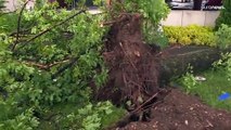 شاهد | إعصار قوي في غرب ألمانيا يؤدي إلى عشرات الإصابات وأضرار مادية هائلة