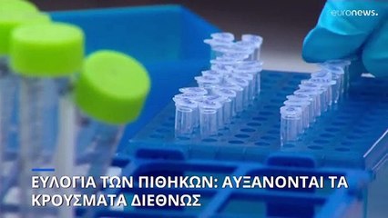 Π.Ο.Υ.: 80 επιβεβαιωμένα και 50 ύποπτα κρούσματα της ευλογιάς των πιθήκων