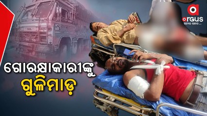 Cattle Traffickers Open Fire Near Toll Gate in Jashipur of Mayurbhanj District, 2 Injured