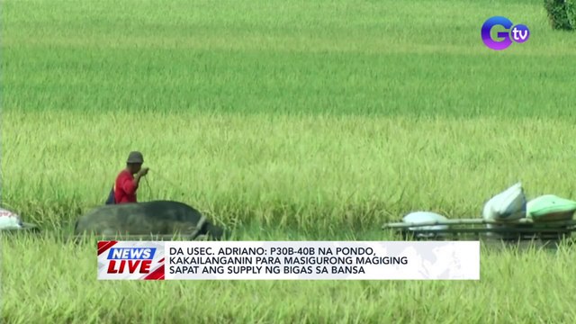DA Usec. Adriano: P30-40B na pondo, kakailanganin para masiguradong magiging sapat ang supply ng bigas sa bansa | News Live
