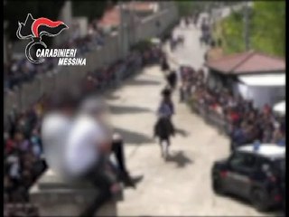 Maltrattamenti animali e competizioni non autorizzate a San Fratello