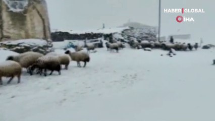 Ağrı'da mayıs ayında kar yağışı