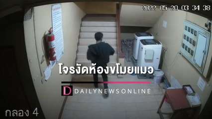 สาวโรงงานทาสแมวน้ำตาหลั่ง วอนโจรงัดห้องลักทรัพย์ เอา 'น้องอั่งเปา' มาคืน | HOTSHOT เดลินิวส์ 21/05/65