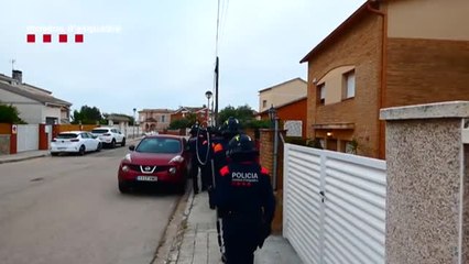 下载视频: Los Mossos d'Esquadra detienen a cinco personas y desmantelan dos plantaciones de marihuana en el Baix Penedès