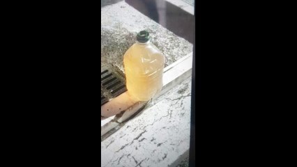 Andria: acqua scura da una storica fontana pubblica, il video che fa discutere