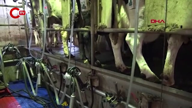 Prof. Dr. Akmaz Konya havzasındaki küçükbaş sayısında yüzde 60 azalma var