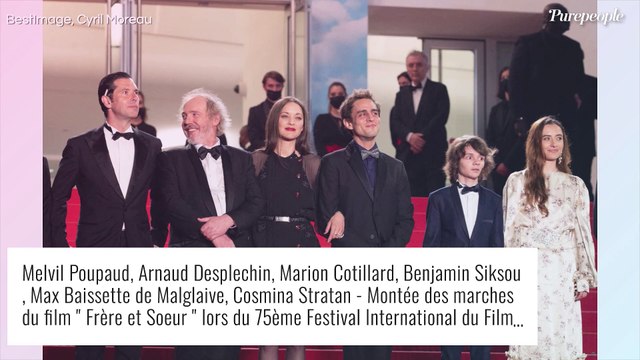 Candice Pascal très décolletée face à Stella et Annabelle Belmondo à Cannes