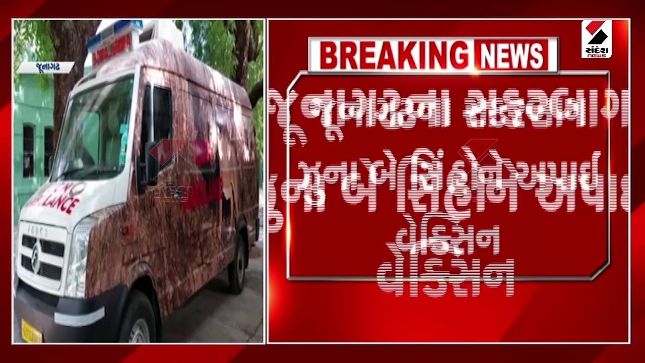 સક્કરબાગ ઝૂમાં 2 સિંહ અને 3 દીપડાને અપાઈ કોરોના...