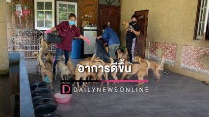 อัพเดทสุนัข 15 ตัว อาการดีขึ้น เร่งบำรุงก่อนทำหมัน-ย้ายบ้าน | HOTSHOT เดลินิวส์ 21/05/65