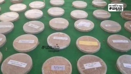 ஒரே இடத்தில் வெவ்வேறு வகையான நெல் ரகம்; கலைக்கட்டிய நெல் திருவிழா!