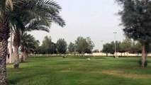 اماكن سياحية في مدينة الخبر