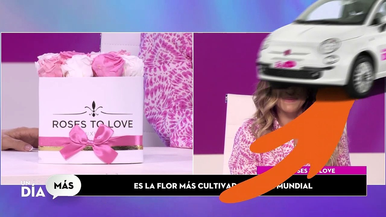 Las rosas están entre las flores más populares a nivel global