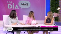 Analizamos algunas curiosidades sobre las rosas