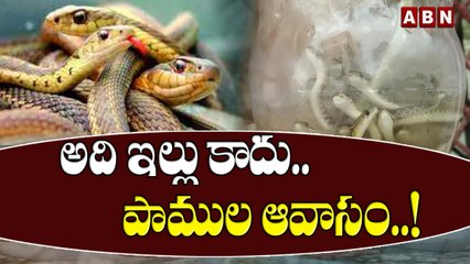 అది ఇల్లు కాదు.. పాములకు ఆవాసం..! | Snakes House | ABN Digital