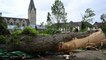 Tornade et tempête en Allemagne : près de 60 blessés et un mort dans l’ouest du pays