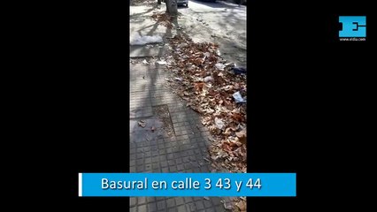 "Todo sucio": montañas de basura en 3 entre 43 Y 44
