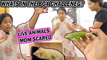 WHAT IS IN THE BOX CHALLENGE WITH MOM _MOM SUPER SCARED !! __ Just Banana