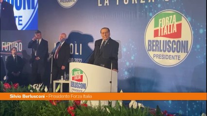 Ucraina, Berlusconi "Forza Italia sempre dalla parte dell'Europa"