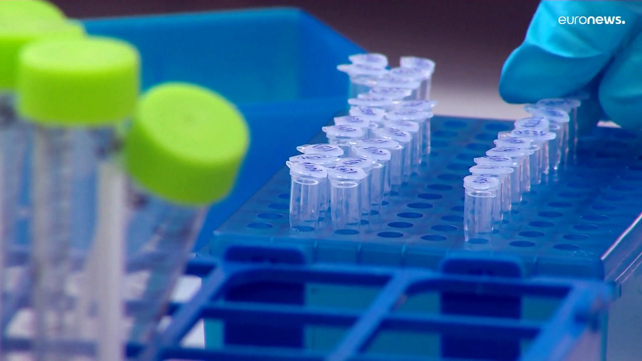 Affenpocken-Virus: Hot Spot Gay Pride auf Gran Canaria?