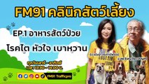 อาหารสัตว์ป่วย โรคไต หัวใจ เบาหวาน EP.1 : FM91 คลินิกสัตว์เลี้ยง : 21 พฤษภาคม 2565