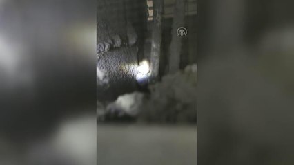 Havalandırma boşluğuna sıkışan kuş kurtarıldı