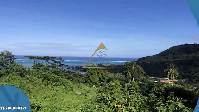 Terrain vue lagon de 2900m2 en vente à Moorea - 25.800.000 C