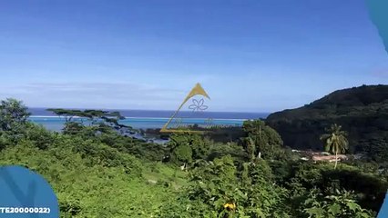 Terrain vue lagon de 2900m2 en vente à Moorea - 25.800.000 C