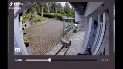 Elle sauve son canard d'une attaque d'aigle devant sa maison